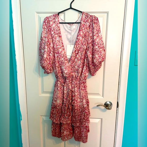 BNWT Pink Floral Dress - Picture 4 of 13